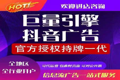 网络推广与竞价广告：双管齐下的策略案例